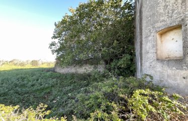CASA COLONICA CON AMPIO TERRENO DI PROPRIETA’ – Squinzano (Le), Strada Provinciale 95