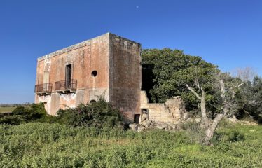 CASA COLONICA CON AMPIO TERRENO DI PROPRIETA’ – Squinzano (Le), Strada Provinciale 95