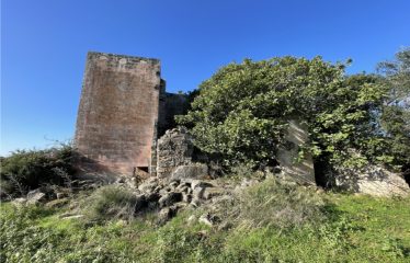 CASA COLONICA CON AMPIO TERRENO DI PROPRIETA’ – Squinzano (Le), Strada Provinciale 95