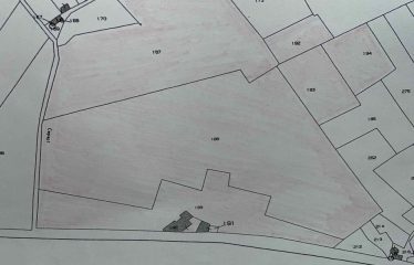 CASA COLONICA CON AMPIO TERRENO DI PROPRIETA’ – Squinzano (Le), Strada Provinciale 95