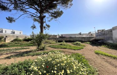 VILLA STORICA CON AMPIO GIARDINO ED AMPIA METRATURA – Squinzano (Le), Via Gianfilippe