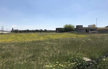 TERRENI EDIFICABILI DI DIVERSE METRATURE – Squinzano (Le), Via Pò