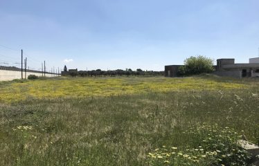 TERRENI EDIFICABILI DI DIVERSE METRATURE – Squinzano (Le), Via Pò
