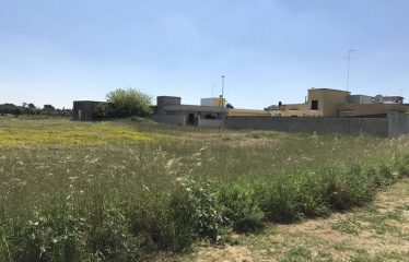 TERRENI EDIFICABILI DI DIVERSE METRATURE – Squinzano (Le), Via Pò