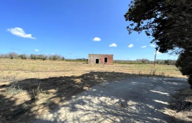 TERRENO CON FABBRICATO RURALE – Squinzano (Le), zona Afra