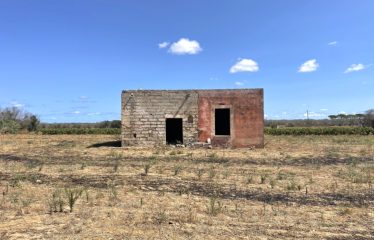 TERRENO CON FABBRICATO RURALE – Squinzano (Le), zona Afra