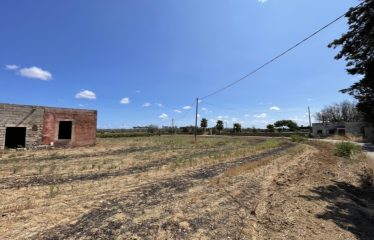 TERRENO CON FABBRICATO RURALE – Squinzano (Le), zona Afra