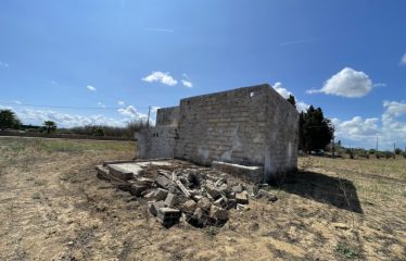 TERRENO CON FABBRICATO RURALE – Squinzano (Le), zona Afra