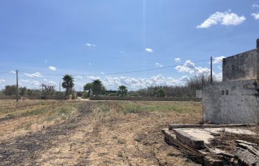 TERRENO CON FABBRICATO RURALE – Squinzano (Le), zona Afra
