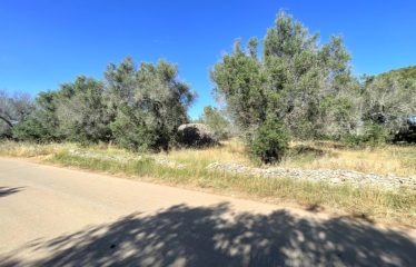 TERRENO AGRICOLO CON TRULLO – Squinzano (Le), Strada comunale Manna Petrelli