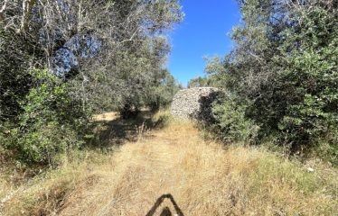 TERRENO AGRICOLO CON TRULLO – Squinzano (Le), Strada comunale Manna Petrelli