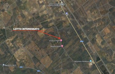 TERRENO AGRICOLO CON TRULLO – Squinzano (Le), Strada comunale Manna Petrelli