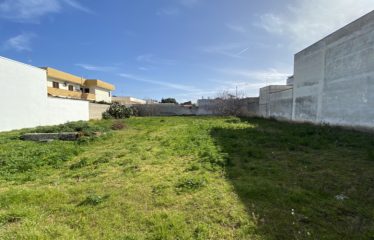 TERRENO EDIFICABILE RECINTATO – Squinzano (Le), Via Duca D’Aosta
