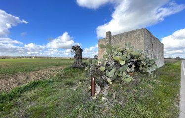 TERRENO AGRICOLO CON FABBRICATO RURALE – Squinzano (Le), via Faraschita