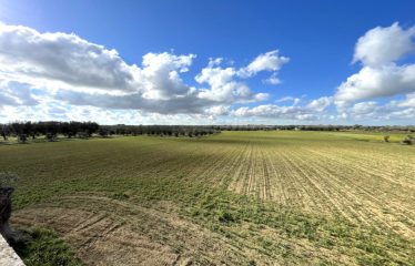 TERRENO AGRICOLO CON FABBRICATO RURALE – Squinzano (Le), via Faraschita