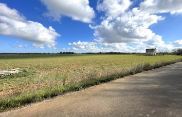 TERRENO AGRICOLO CON FABBRICATO RURALE – Squinzano (Le), via Faraschita
