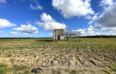TERRENO AGRICOLO CON FABBRICATO RURALE – Squinzano (Le), via Faraschita
