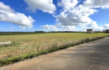TERRENO AGRICOLO CON FABBRICATO RURALE – Squinzano (Le), via Faraschita