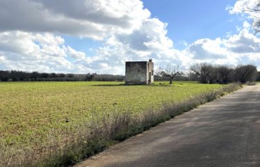 TERRENO AGRICOLO CON FABBRICATO RURALE – Squinzano (Le), via Faraschita