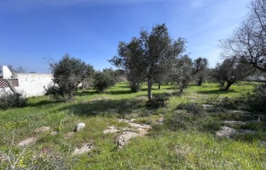 TERRENI AL MARE &ndash; Casalabate (Le)