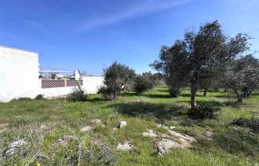 TERRENI AL MARE &ndash; Casalabate (Le)