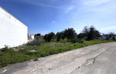 TERRENI AL MARE &ndash; Casalabate (Le)