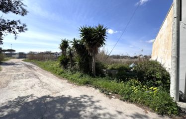 TERRENI AL MARE &ndash; Casalabate (Le)