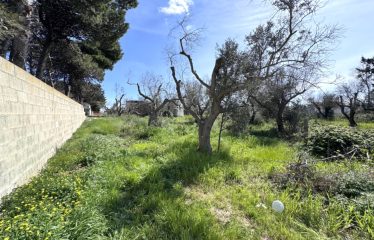 TERRENI AL MARE &ndash; Casalabate (Le)