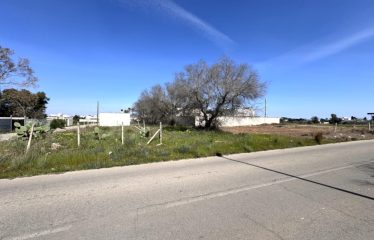 TERRENI AL MARE &ndash; Casalabate (Le)
