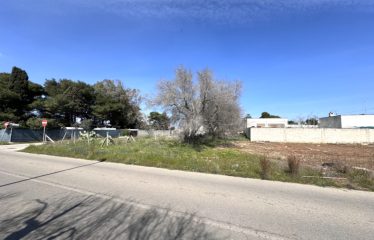 TERRENI AL MARE &ndash; Casalabate (Le)