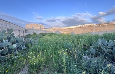 TERRENO EDIFICABILE CON PROGETTO APPROVATO – Squinzano (Le), via F. Morelli