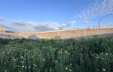 TERRENO EDIFICABILE CON PROGETTO APPROVATO – Squinzano (Le), via F. Morelli