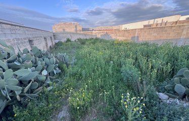 TERRENO EDIFICABILE CON PROGETTO APPROVATO – Squinzano (Le), via F. Morelli