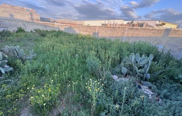 TERRENO EDIFICABILE CON PROGETTO APPROVATO – Squinzano (Le), via F. Morelli