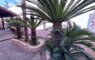 VILLA CON GIARDINO &ndash; Squinzano (Le), via Lecce