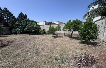 TERRENO EDIFICABILE RECINTATO &ndash; Squinzano (Le), via Sindaco Frassaniti