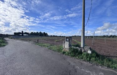 TERRENO AGRICOLO – Squinzano (Le)