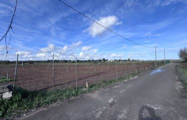TERRENO AGRICOLO – Squinzano (Le)
