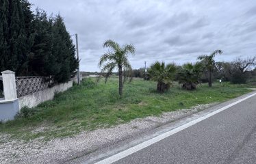 Terreno Agricolo – Via Cellino – San Pietro Vernotico (Br)