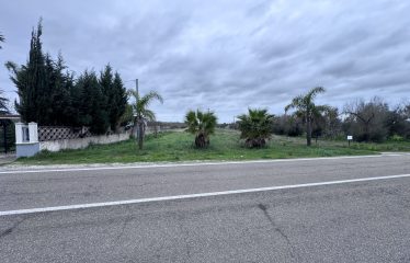 Terreno Agricolo – Via Cellino – San Pietro Vernotico (Br)