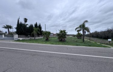 Terreno Agricolo – Via Cellino – San Pietro Vernotico (Br)