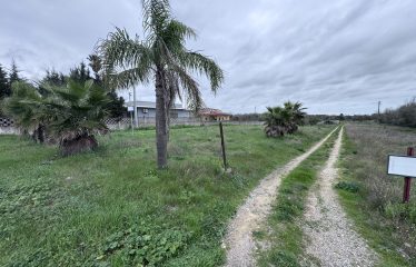 Terreno Agricolo – Via Cellino – San Pietro Vernotico (Br)