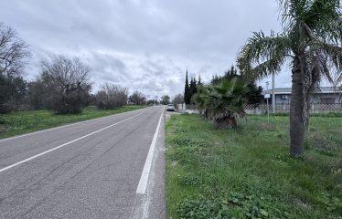 Terreno Agricolo – Via Cellino – San Pietro Vernotico (Br)