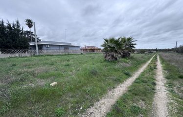 Terreno Agricolo – Via Cellino – San Pietro Vernotico (Br)