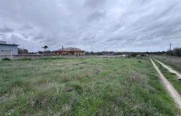 Terreno Agricolo – Via Cellino – San Pietro Vernotico (Br)