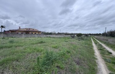Terreno Agricolo – Via Cellino – San Pietro Vernotico (Br)