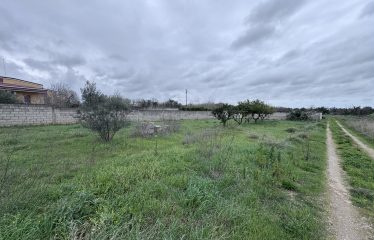 Terreno Agricolo – Via Cellino – San Pietro Vernotico (Br)