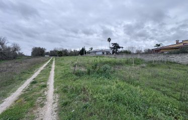 Terreno Agricolo – Via Cellino – San Pietro Vernotico (Br)
