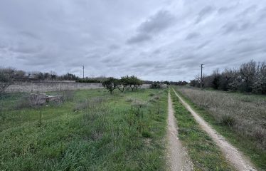 Terreno Agricolo – Via Cellino – San Pietro Vernotico (Br)