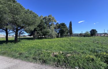 CASOLARE CON AMPIO TERRENO &ndash; Squinzano(Le), Via S. Elia